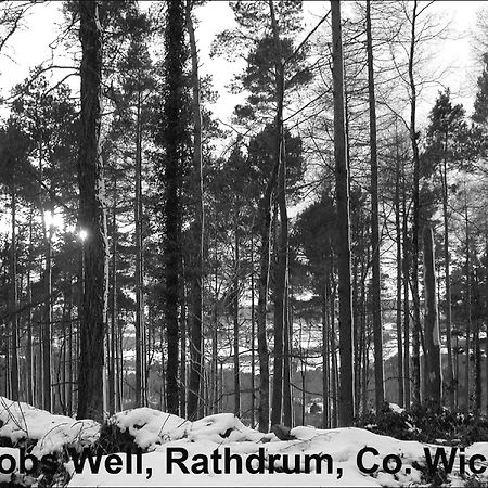 Jacob'S Well Hotel Rathdrum Exteriör bild