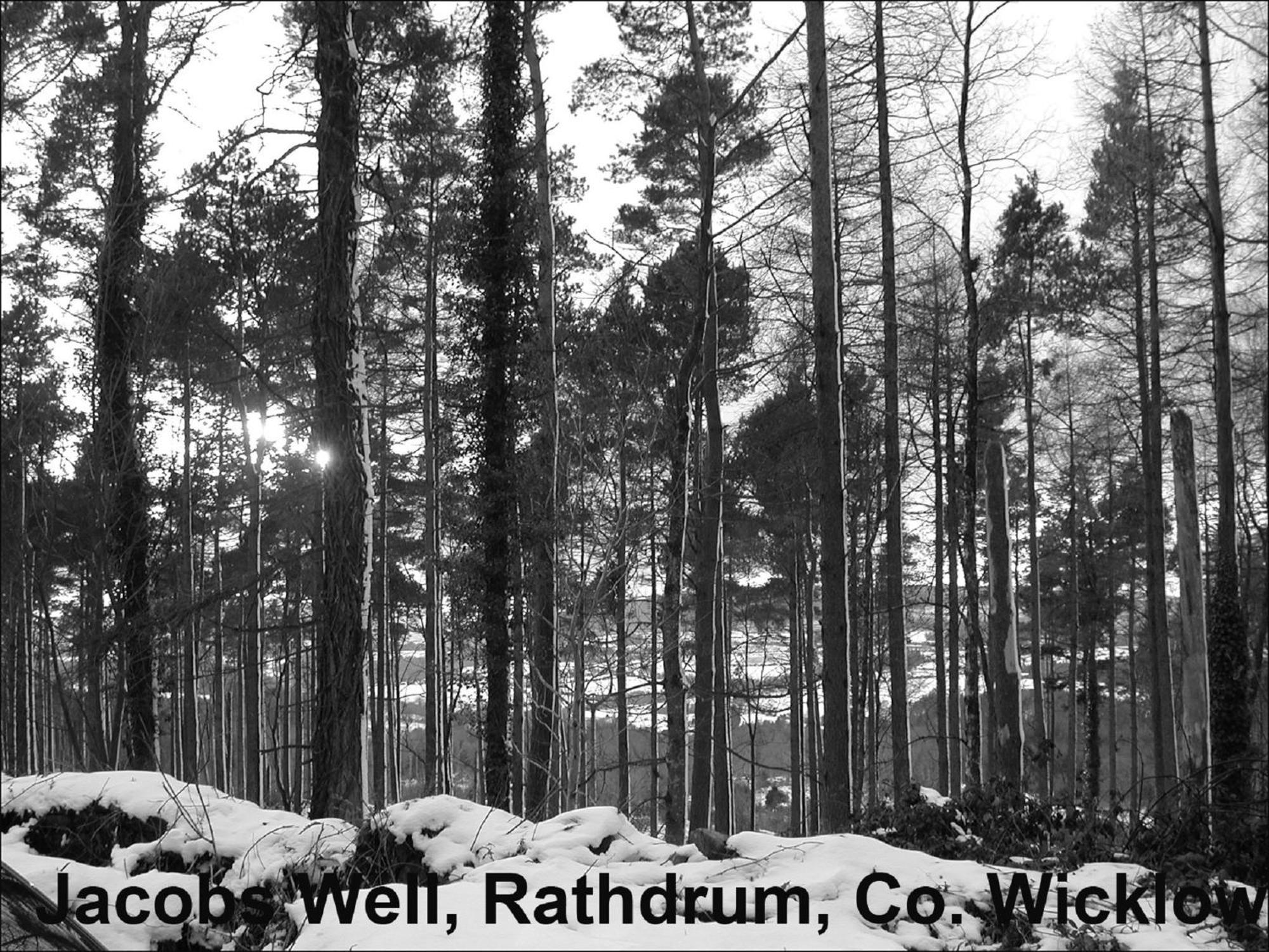 Jacob'S Well Hotel Rathdrum Exteriör bild